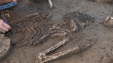 Skelett eines Steinzeitmenschen wird ausgegraben | Bild: BR